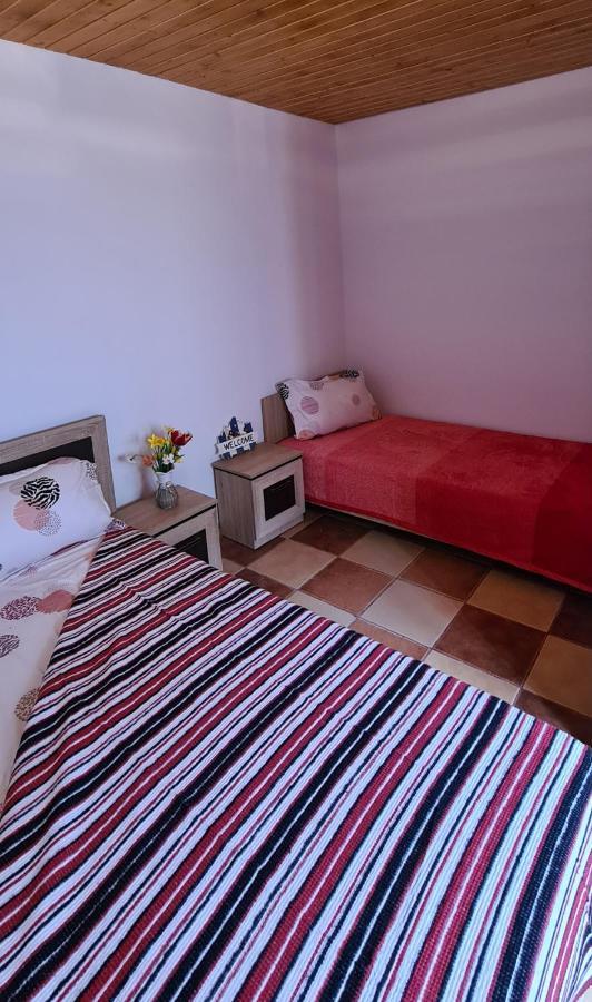 Casa Roko Otel Sfântu Gheorghe Dış mekan fotoğraf