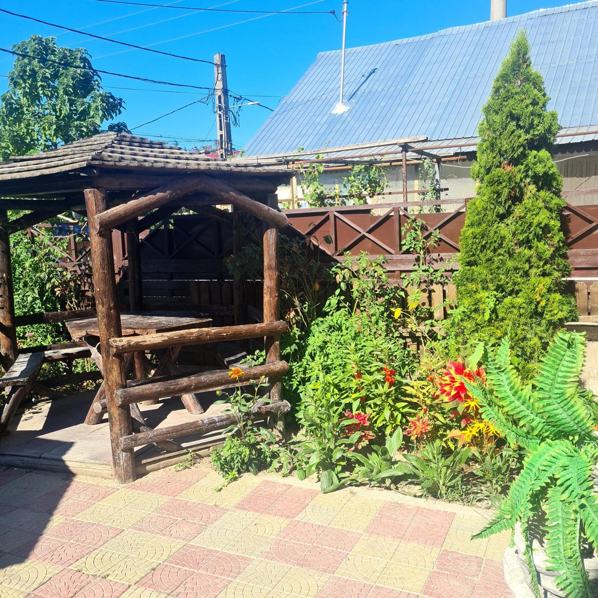 Casa Roko Otel Sfântu Gheorghe Dış mekan fotoğraf